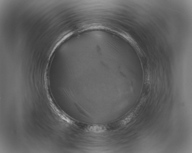 X0000056380806200509091713