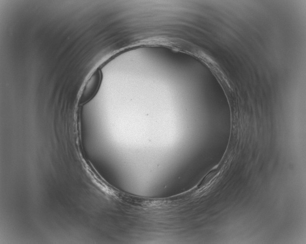 X0000056380808200509091713