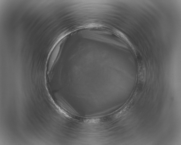 X0000056380810200509091713