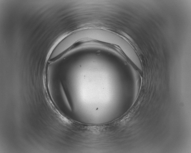 X0000056380812200509091713