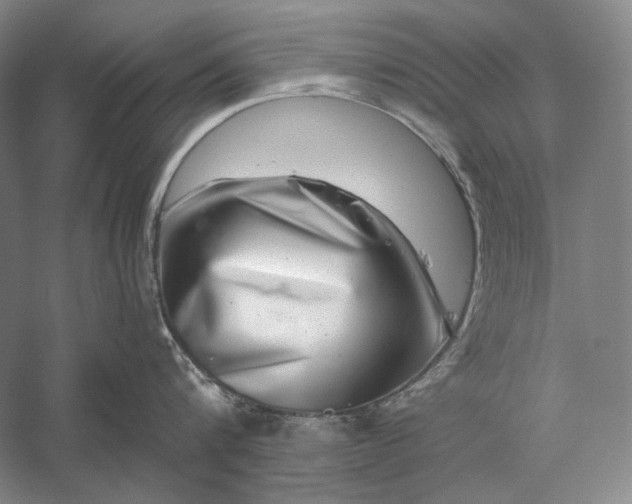 X0000056380816200509091713