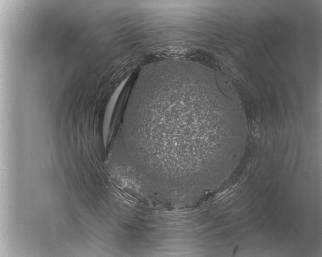 X0000056380818200509091712