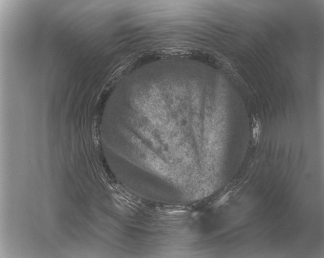 X0000056380819200509091712