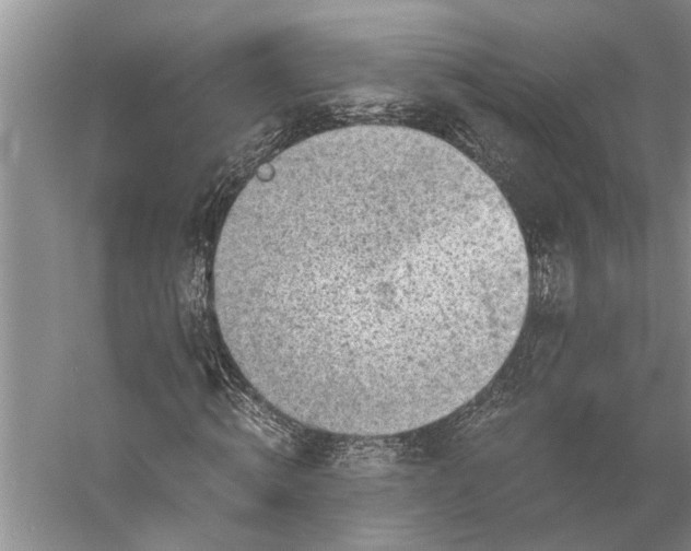 X0000056380820200509091712