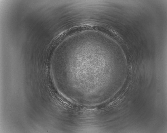 X0000056380821200509091712