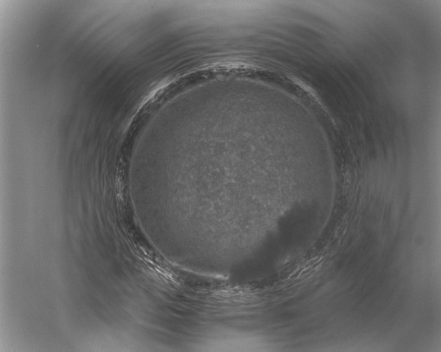 X0000056380823200509091712