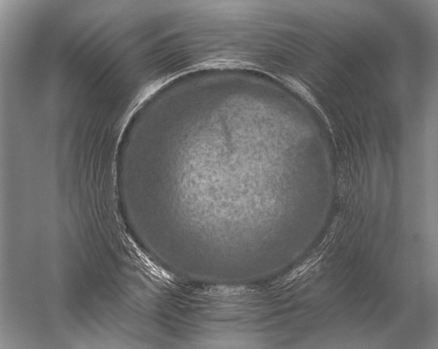 X0000056380831200509091713