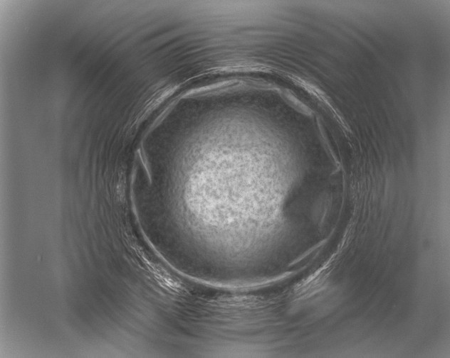 X0000056380833200509091713