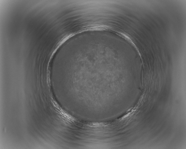 X0000056380835200509091713