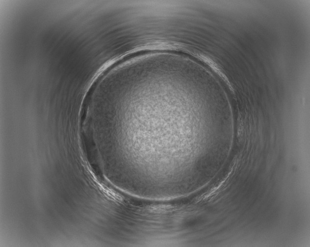 X0000056380837200509091713