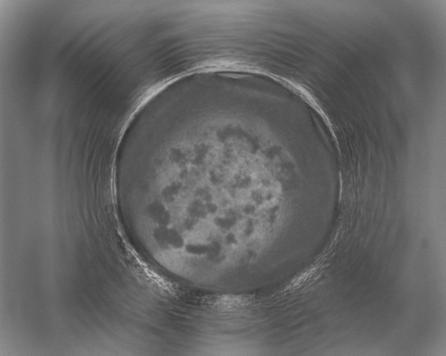 X0000056380839200509091713