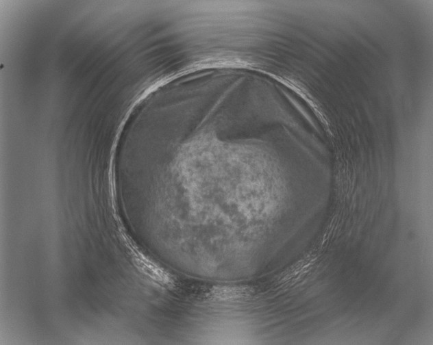 X0000056380840200509091713