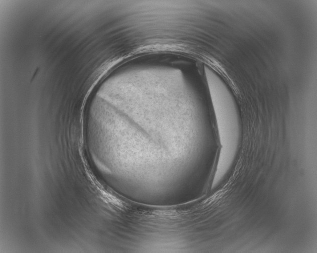 X0000056380844200509091713