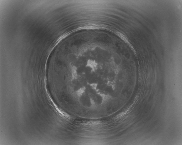 X0000056380845200509091713