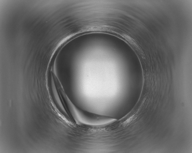 X0000056380846200509091713