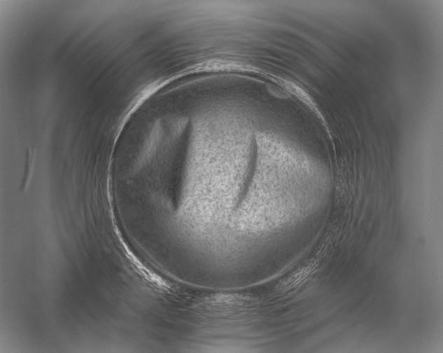 X0000056380847200509091713