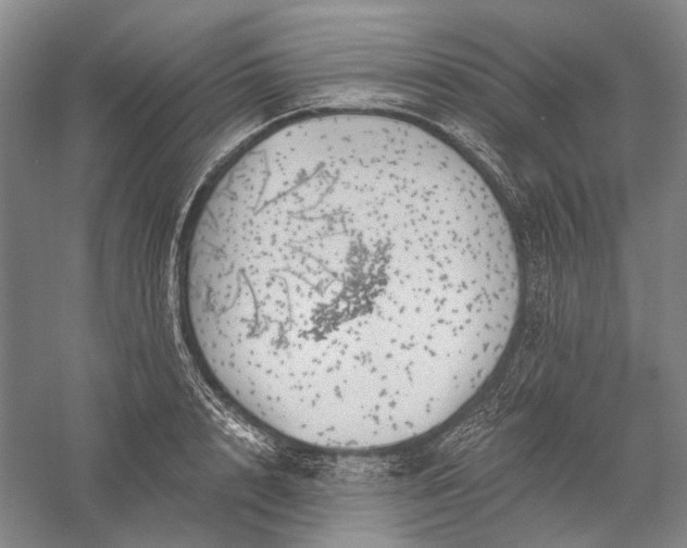 X0000056380848200509091713