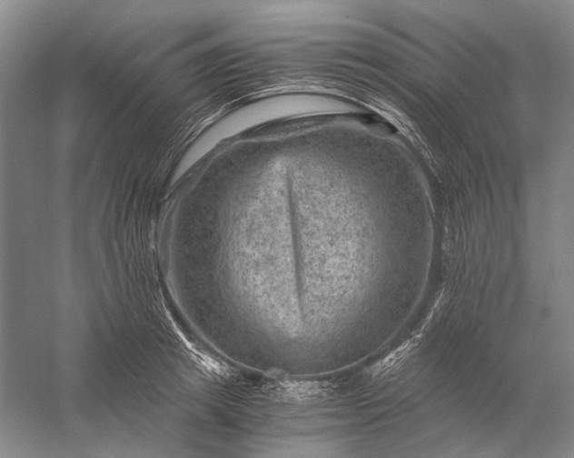 X0000056380849200509091713