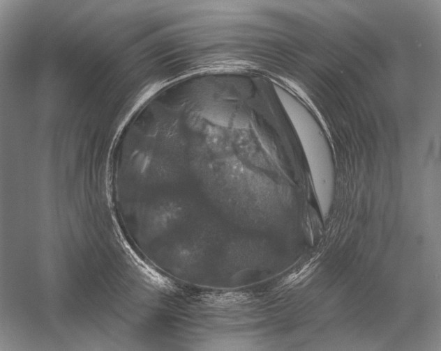 X0000056380851200509091713