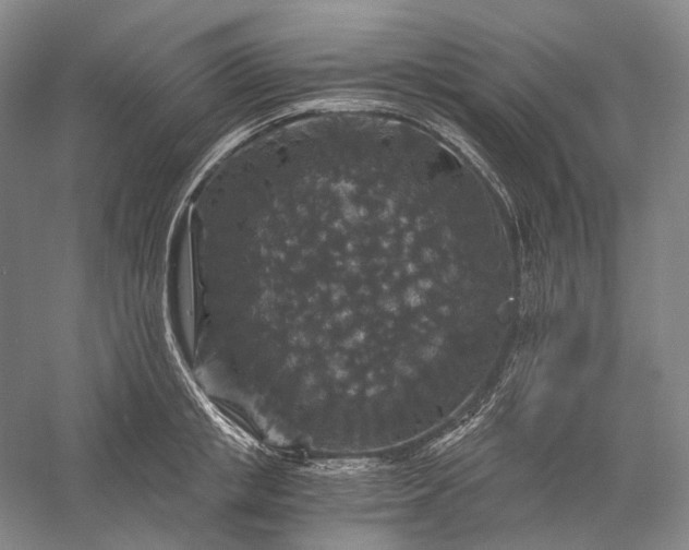 X0000056380853200509091713