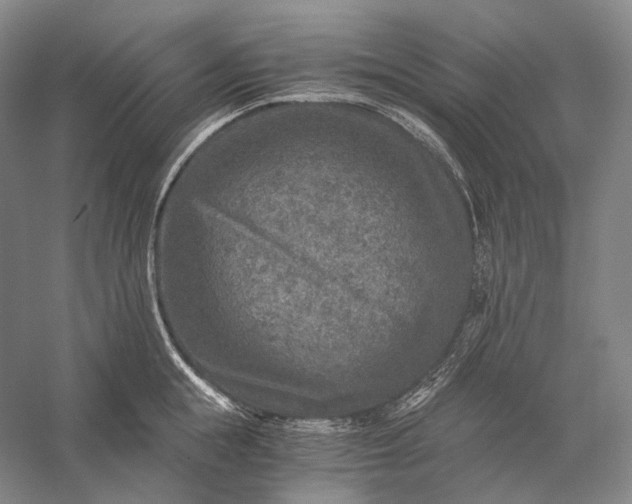 X0000056380855200509091713