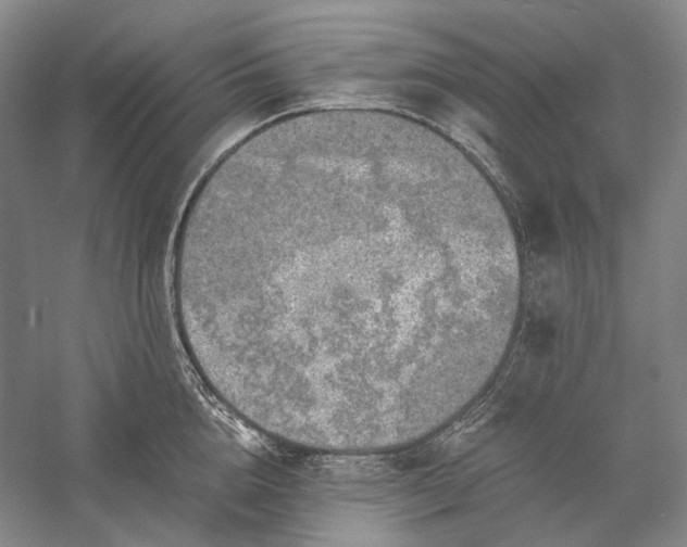 X0000056380856200509091713