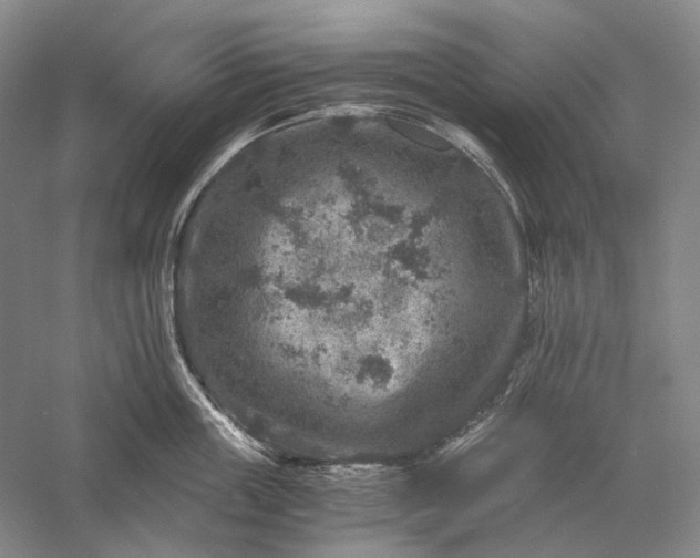 X0000056380859200509091713