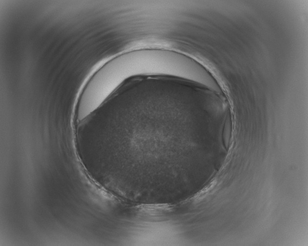 X0000056380864200509091713