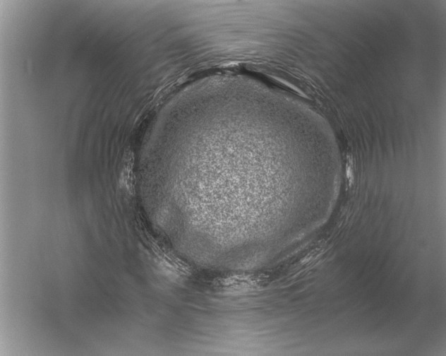 X0000056380867200509091712