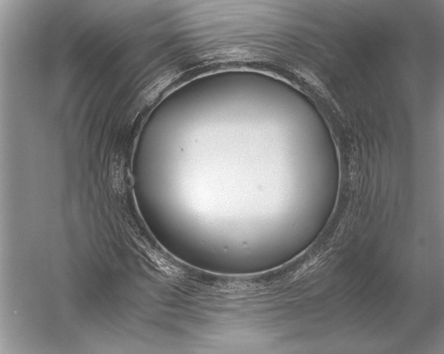 X0000056380873200509091712