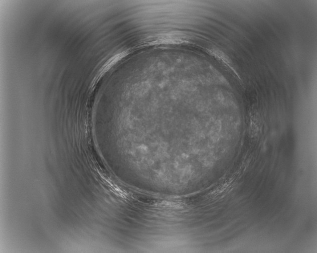 X0000056380874200509091712