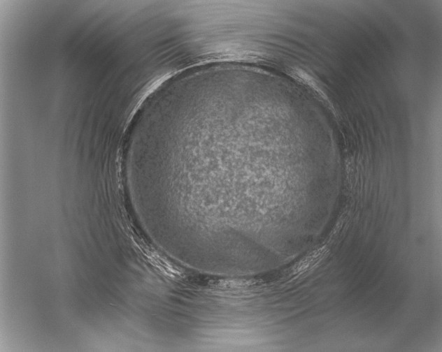 X0000056380875200509091712