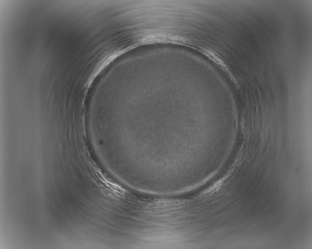 X0000056380877200509091712