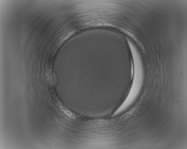 X0000056380881200509091712