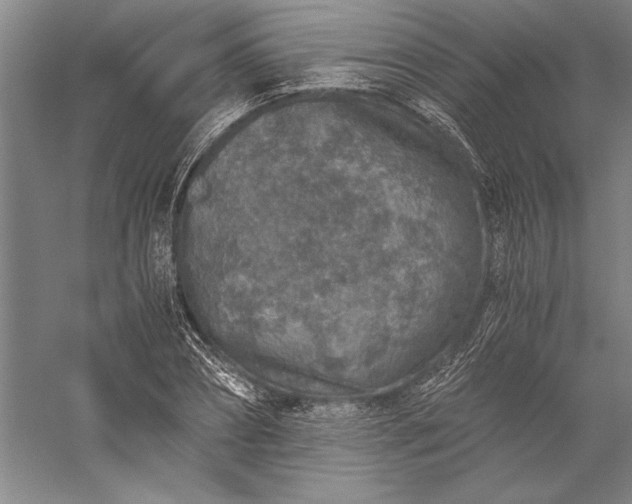 X0000056380882200509091712