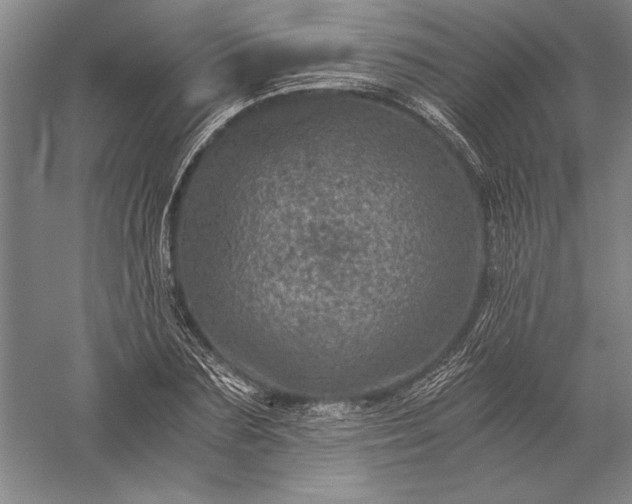 X0000056380883200509091712