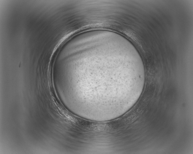 X0000056380886200509091712