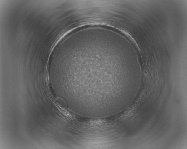 X0000056380887200509091712