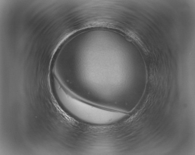 X0000056380888200509091712