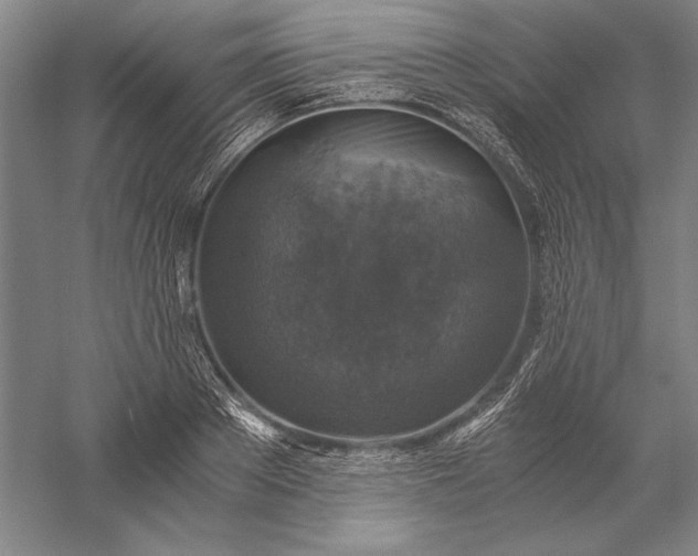 X0000056380889200509091712