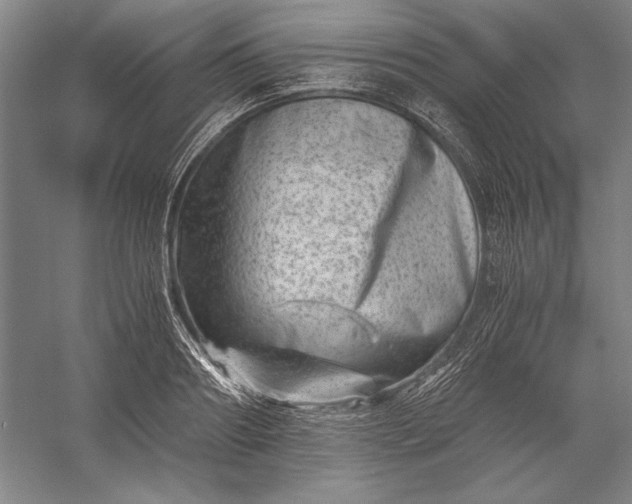 X0000056380890200509091712