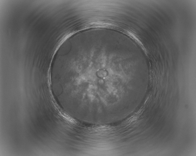 X0000056380891200509091712