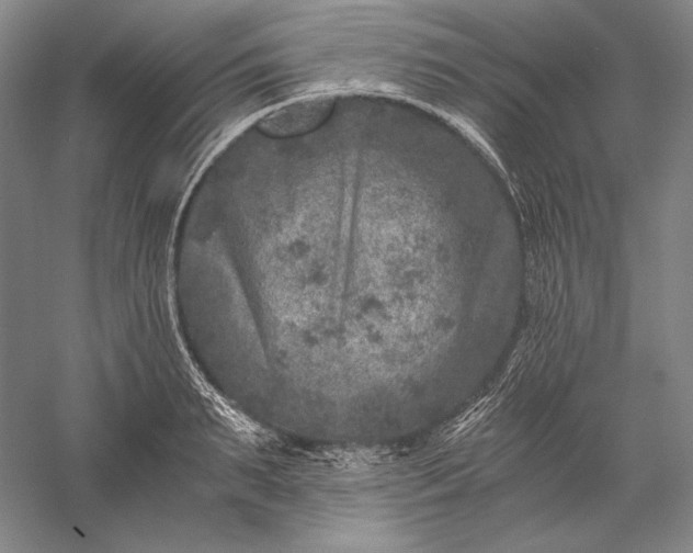 X0000056380895200509091712