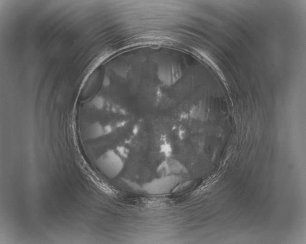 X0000056380899200509091712