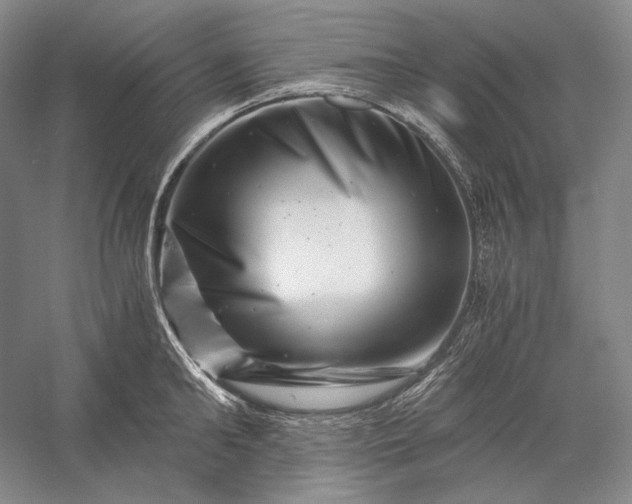 X0000056380902200509091712