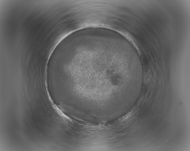 X0000056380903200509091712