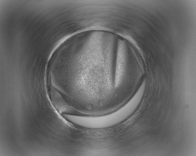 X0000056380910200509091712