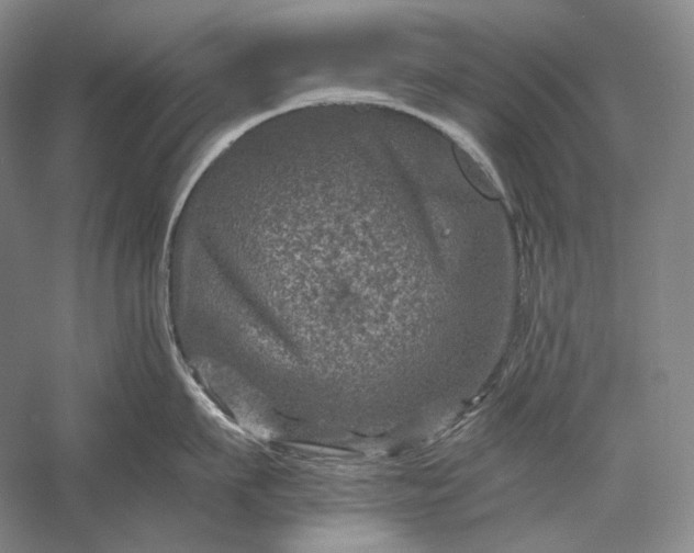 X0000056380911200509091712