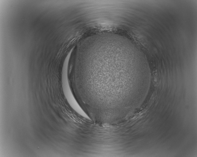 X0000056380916200509091711