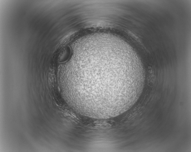 X0000056380918200509091711